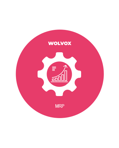 Akınsoft Wolvox MRP