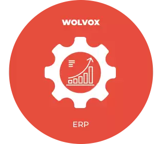 Akınsoft Wolvox ERP