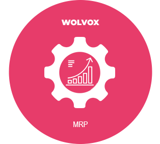 Akınsoft Wolvox MRP