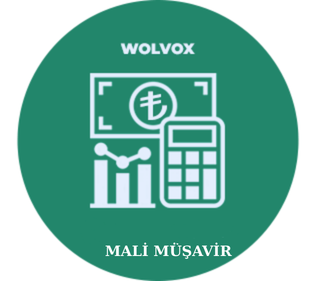 Akınsoft Mali Müşavir